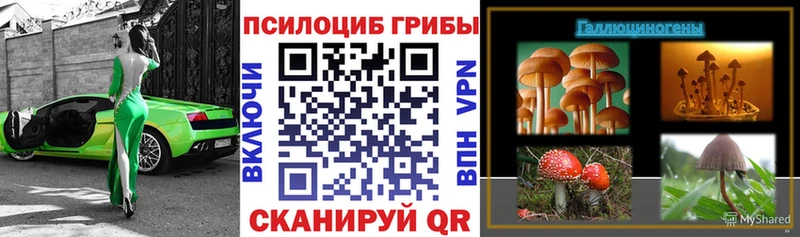 Псилоцибиновые грибы мухоморы  Куртамыш 